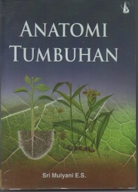 Anatomi Tumbuhan