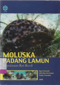 Moluska Padang lamun: Kepulauan Kei Kecil